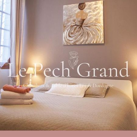 Chambres & Tables D'Hotes Le Pech Grand Saint-Sozy Ngoại thất bức ảnh